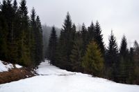 132 Szczawnica 28.02 - 01.03.2015 r.